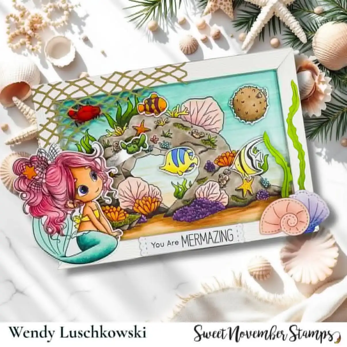 Zestaw nowych przezroczystych  – Food Box Baby recenzja i cena